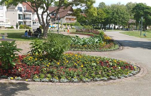Ein Bild, das drauen, Baum, Landschaftsgestaltung, Botanischer Garten enthlt.

KI-generierte Inhalte knnen fehlerhaft sein.